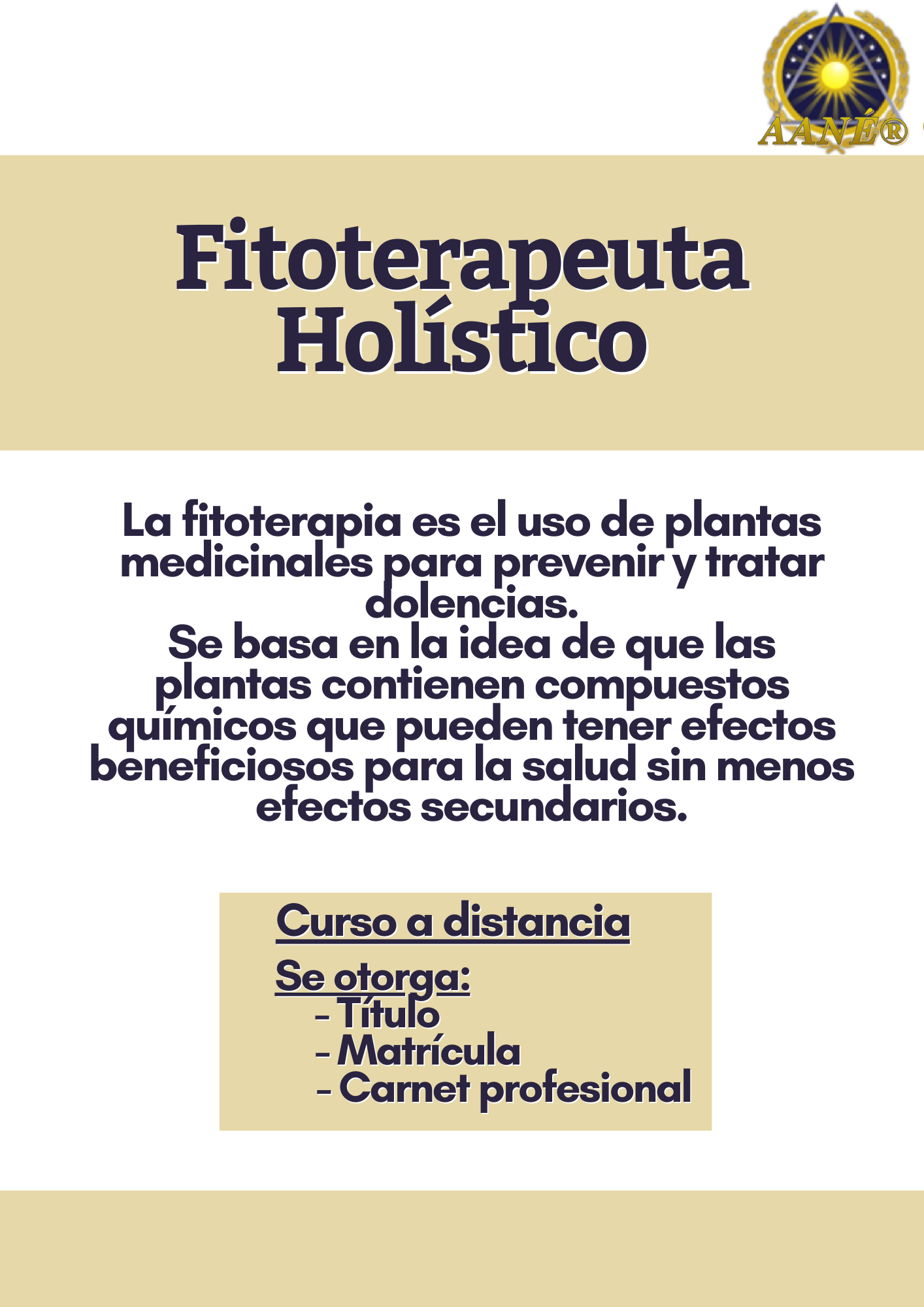 Fitoterapeuta Holístico