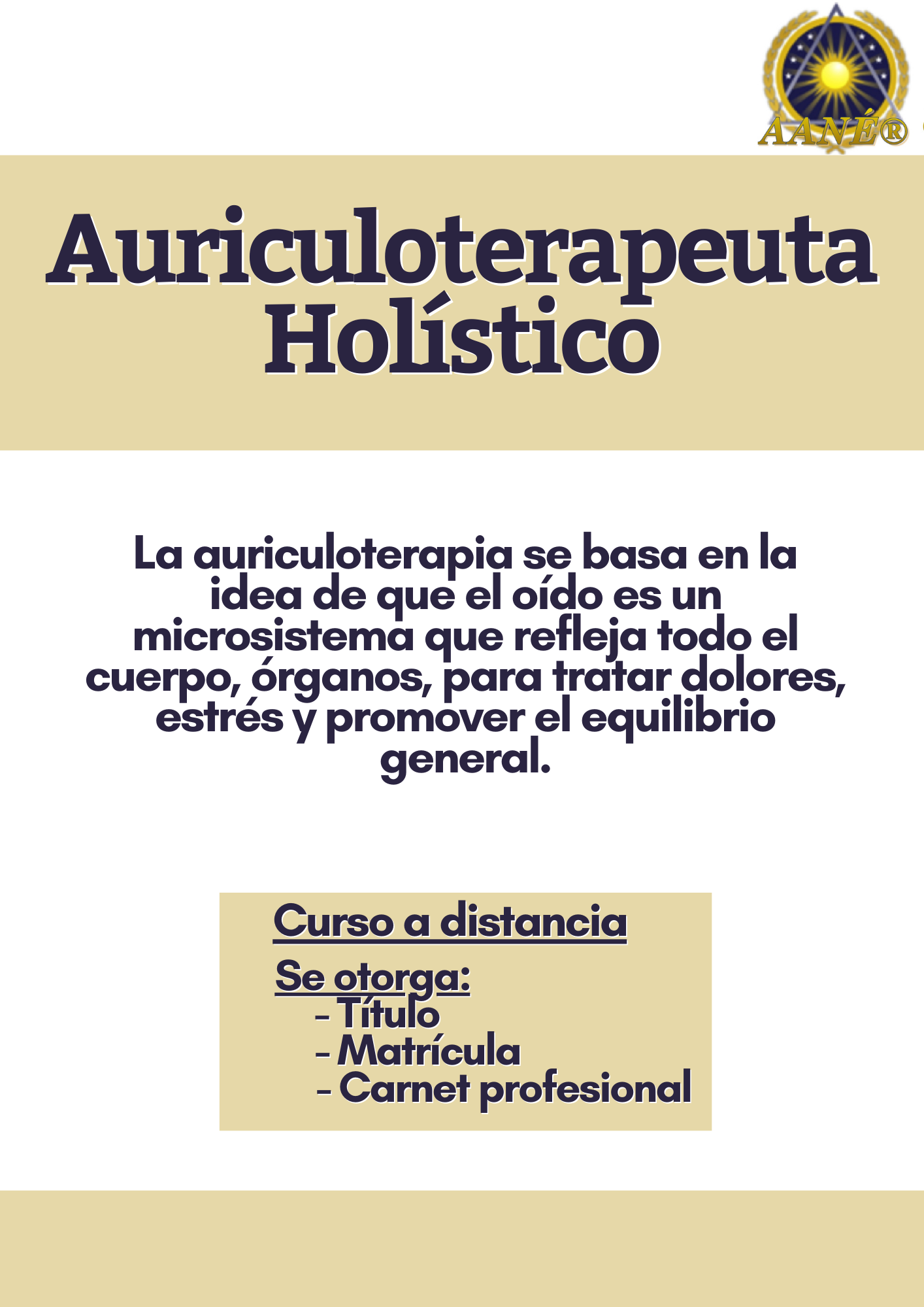 Auriculoterapeuta Holístico